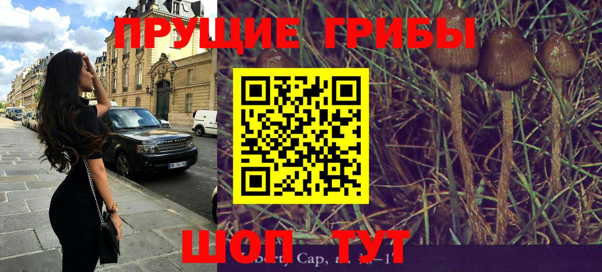 Псилоцибиновые грибы Magic Shrooms  Вход с VPN  Дивногорск 